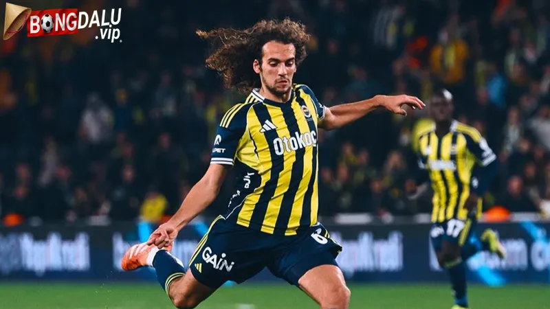 Phong Do Gan Day Cua Fenerbahce Vs Lyon
