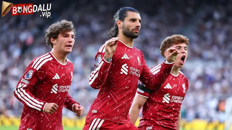 Phong Do Gan Day Cua Liverpool Vs Nottingham
