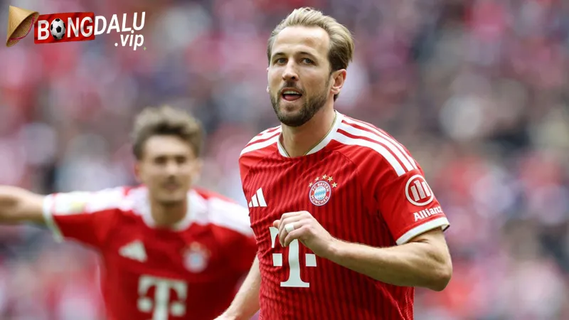 Harry Kane Tiep Tuc Khang Dinh Vai Tro Dau Tau Tren Hang Cong Bayern